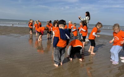 Naar de Sierk aan zee
