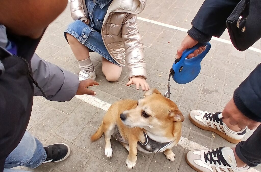 De hondjes van Marie-lou