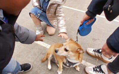 De hondjes van Marie-lou