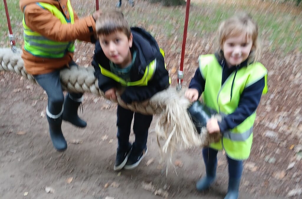 Herfst in het donkere bos