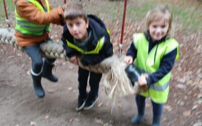 Herfst in het donkere bos