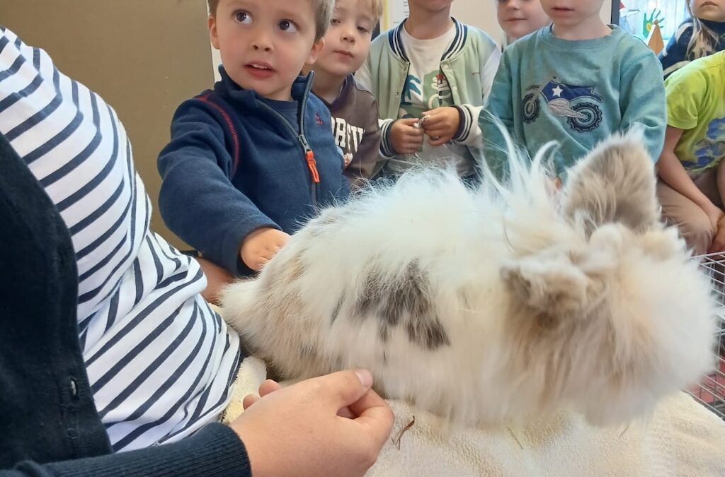 Een diertje in de klas: Marcha het konijn & Eddy de poes