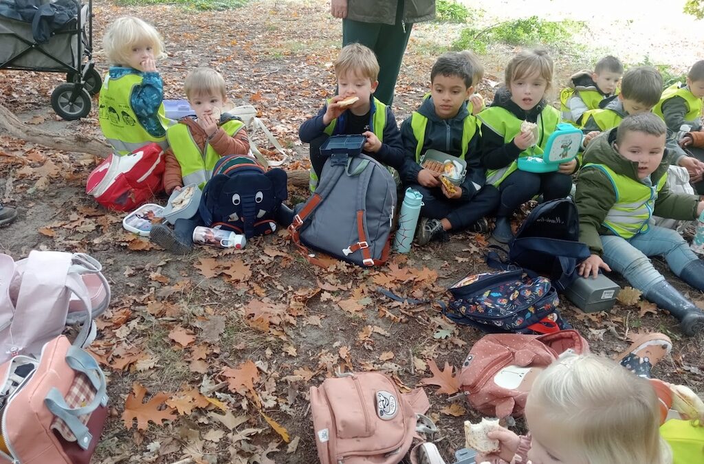 Op zoek naar herfstschatten in het bos