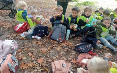 Op zoek naar herfstschatten in het bos