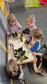 Pauwtje Pio en het uilskuiken