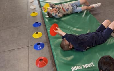 Bloemetjes en bijtjes
